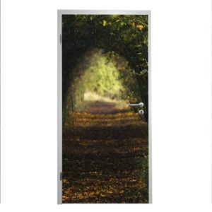 Türfolie Motiv "Blick"