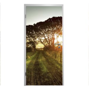 Türfolie Motiv "Wald"